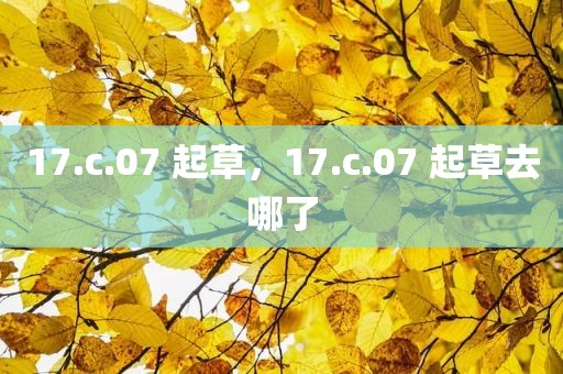 17.c.07 起草，17.c.07 起草去哪了