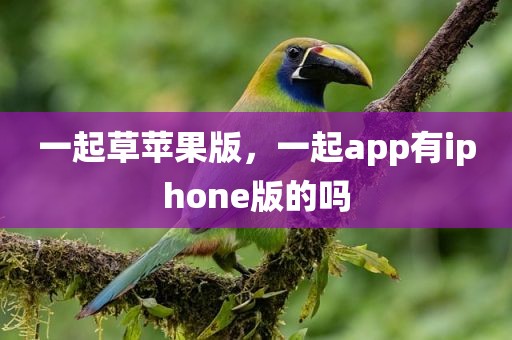 一起草苹果版，一起app有iphone版的吗
