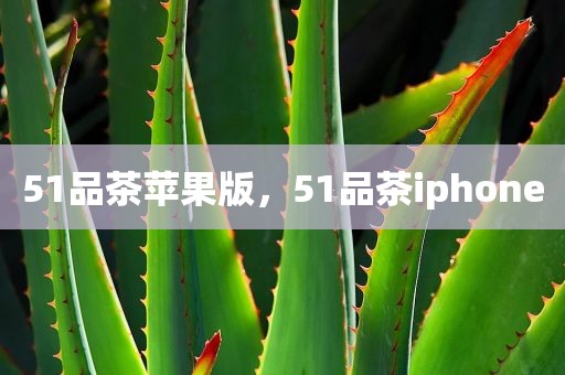 51品茶苹果版，51品茶iphone