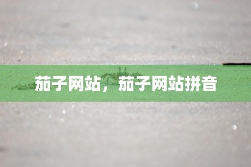 茄子网站，茄子网站拼音