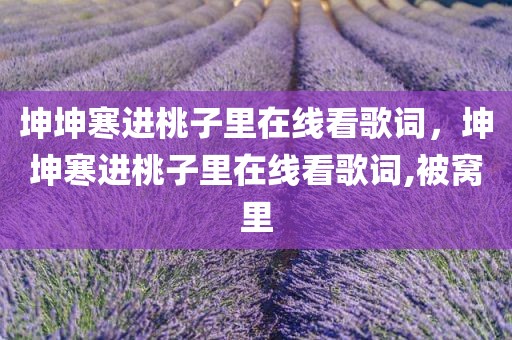 坤坤寒进桃子里在线看歌词，坤坤寒进桃子里在线看歌词,被窝里