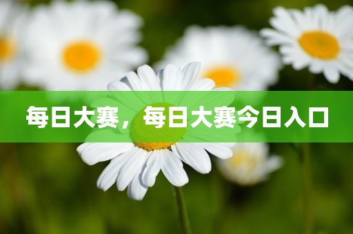 每日大赛，每日大赛今日入口