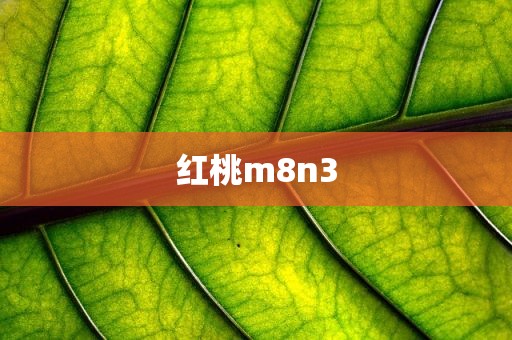 红桃m8n3