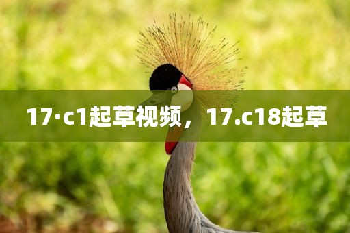 17·c1起草视频，17.c18起草