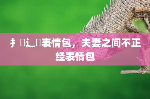 扌喿辶畐表情包，夫妻之间不正经表情包