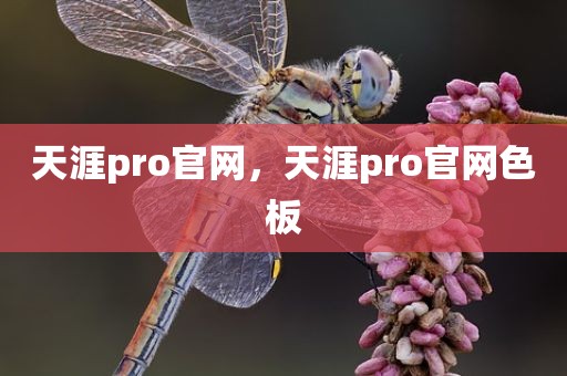 天涯pro官网，天涯pro官网色板