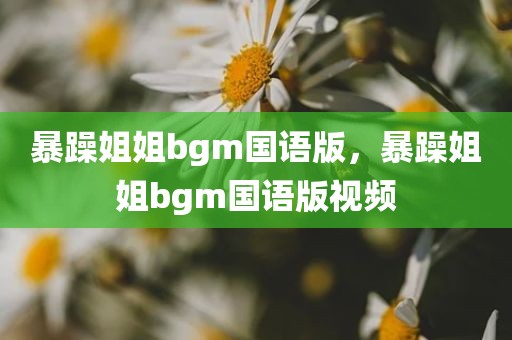 暴躁姐姐bgm国语版，暴躁姐姐bgm国语版视频