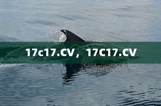 17c17.CV，17C17.CV