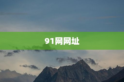 91网网址