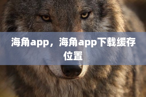 海角app，海角app下载缓存位置