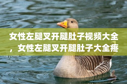 女性左腿叉开腿肚子视频大全，女性左腿叉开腿肚子大全疼
