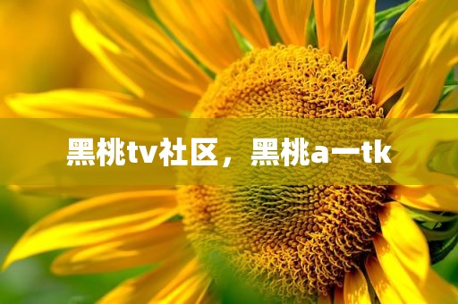 黑桃tv社区，黑桃a一tk