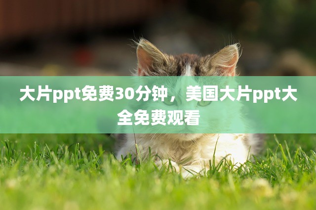 大片ppt免费30分钟，美国大片ppt大全免费观看