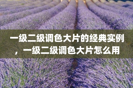 一级二级调色大片的经典实例，一级二级调色大片怎么用