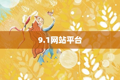 9.1网站平台