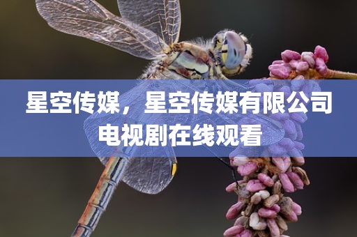 星空传媒，星空传媒有限公司电视剧在线观看