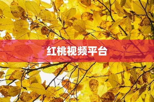 红桃视频平台