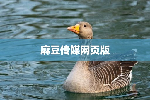 麻豆传媒网页版