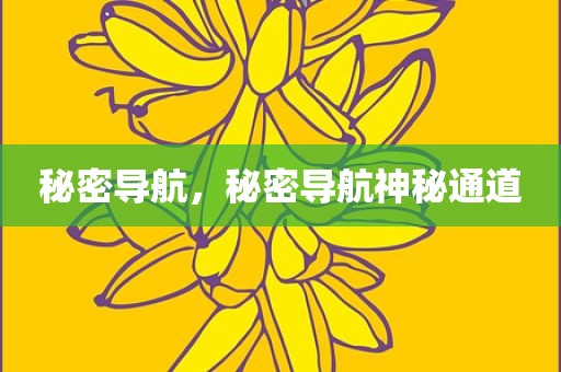秘密导航，秘密导航神秘通道
