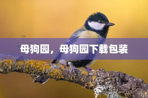 母狗园，母狗园下载包装