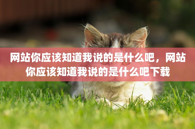 网站你应该知道我说的是什么吧，网站你应该知道我说的是什么吧下载