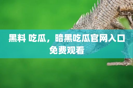 黑料 吃瓜，暗黑吃瓜官网入口免费观看