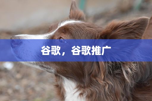 谷歌，谷歌推广