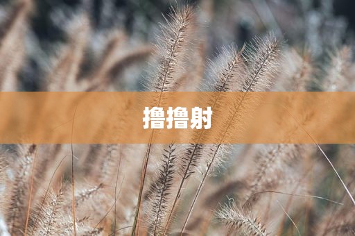 撸撸射