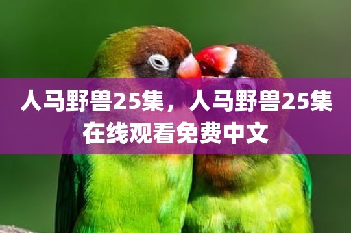 人马野兽25集，人马野兽25集在线观看免费中文