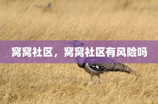 窝窝社区，窝窝社区有风险吗