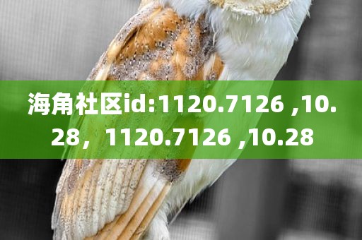 海角社区id:1120.7126 ,10.28，1120.7126 ,10.28