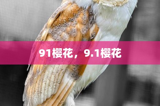 91樱花，9.1樱花