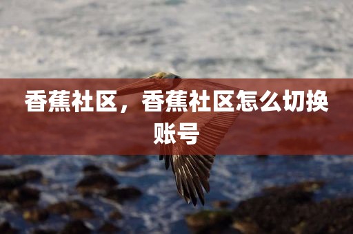 香蕉社区，香蕉社区怎么切换账号