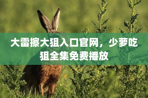 大雷擦大狙入口官网，少萝吃狙全集免费播放