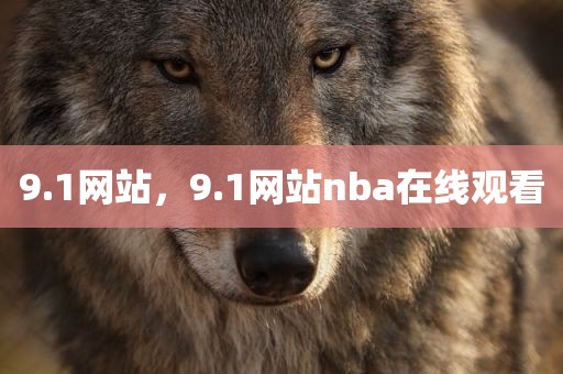 9.1网站，9.1网站nba在线观看